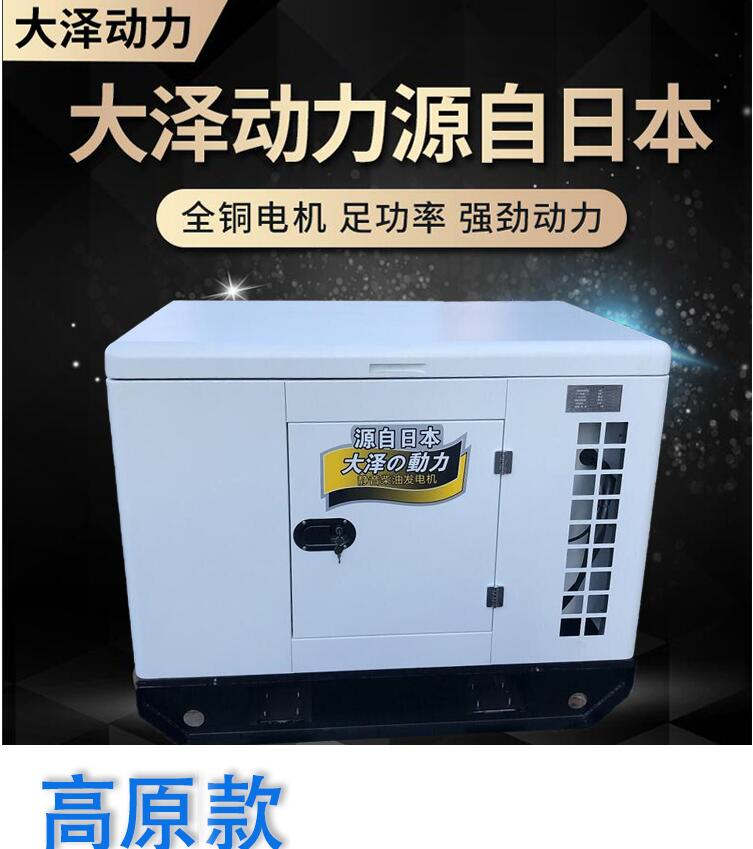 大澤動(dòng)力10kw柴油發(fā)電機(jī)高原裝置