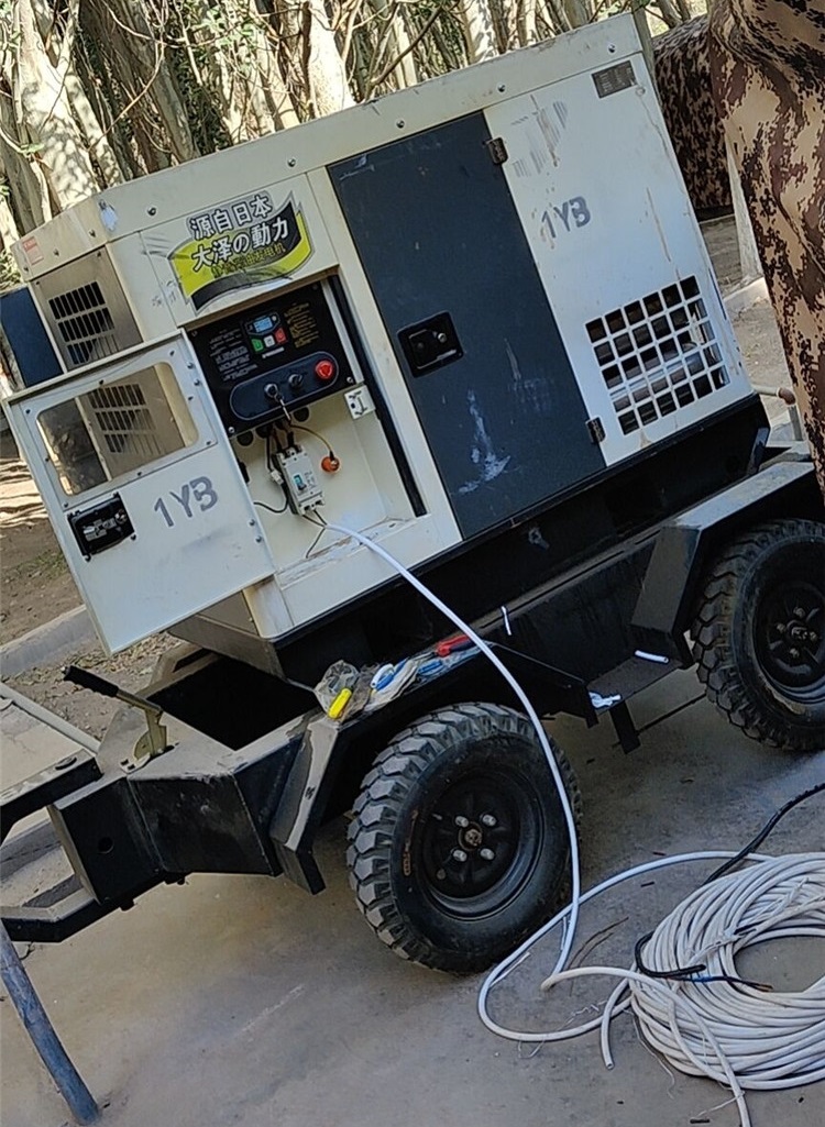 大澤動(dòng)力發(fā)電機(jī)官網(wǎng)